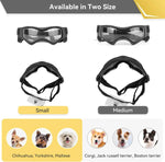 Belüftete Hundebrille mit Anpassbarem Riemen