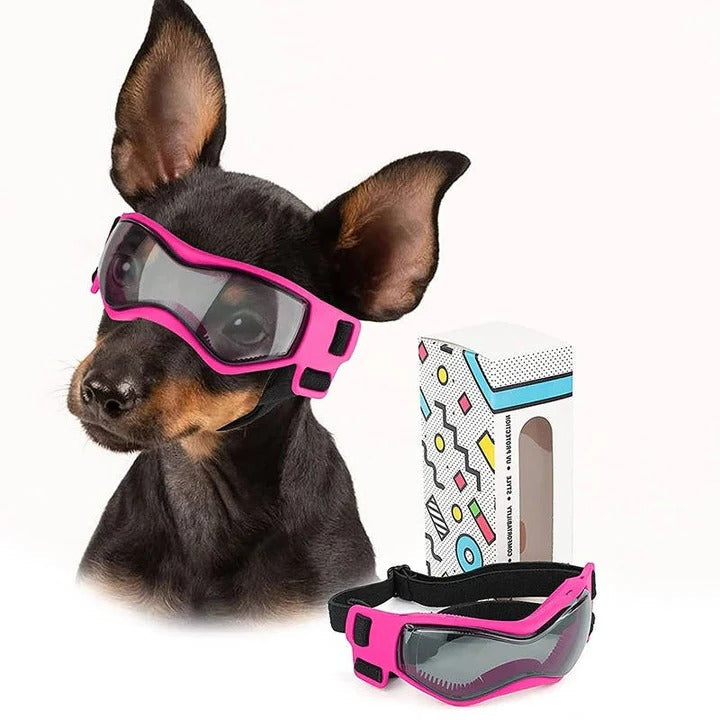 Luftige Hundebrille mit Verstellbarem Gurt