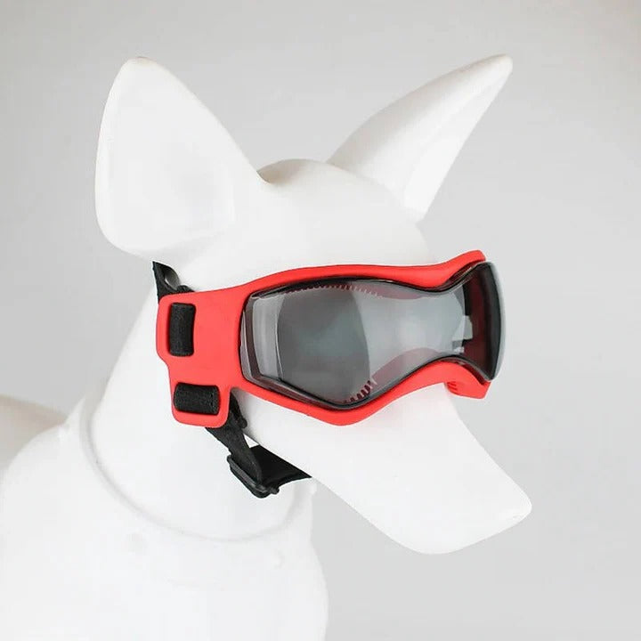 Belüftete Hundebrille mit Anpassbarem Riemen