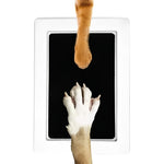 Paw print set for dogs and cats without chemicals