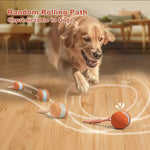Interactive Dog Toys: Automatic Moving Ball with Rope, Set of 2