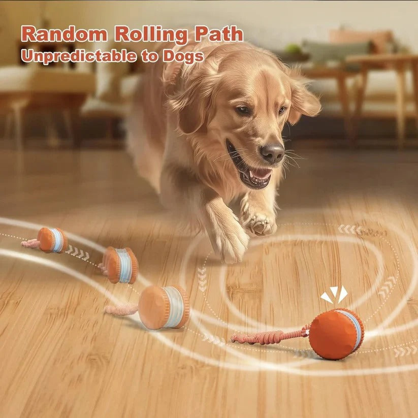 Interactive Dog Toys: Automatic Moving Ball with Rope, Set of 2