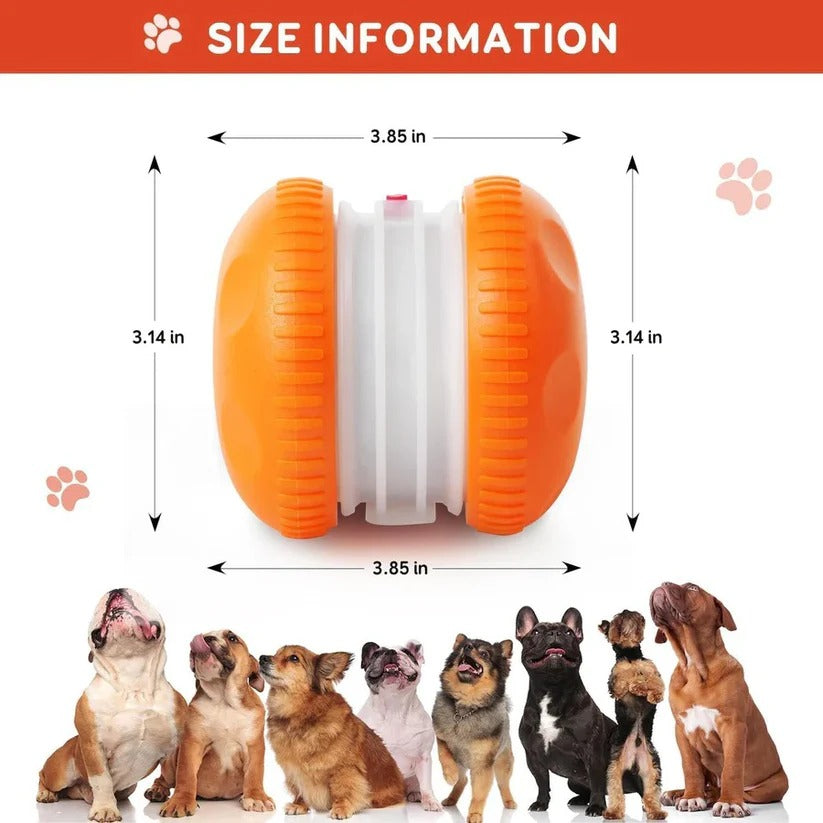 Interaktives Hundespielzeug mit Rollen und Seil – 2er Set