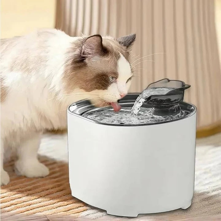 Smart Cat Water Fountain with Filter System
