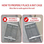 Wiederverwendbarer Nagerfangkäfig mit Einweg-Eingangssystem