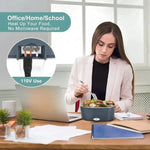 Elektrische Lunchbox mit Heizfunktion für Auto und Büro