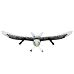 Remote control for the eagle-bird
