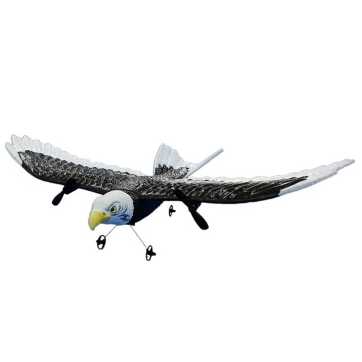 Remote control for the eagle-bird