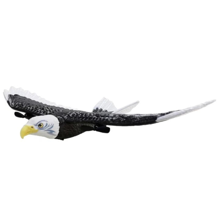 Remote control for the eagle-bird