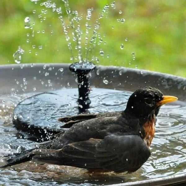 Solarbetriebene Wasserfontäne für Ihren Garten