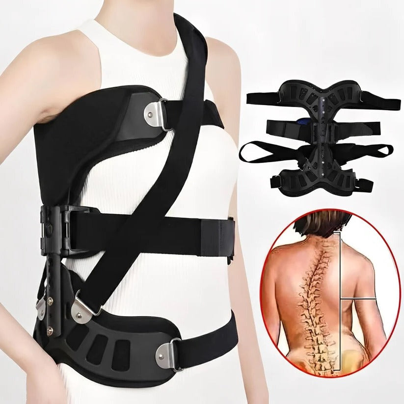 Adjustable back support with individual height adjustment and posture support