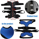 Adjustable back support with individual height adjustment and posture support