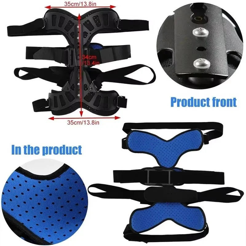 Adjustable back support with individual height adjustment and posture support