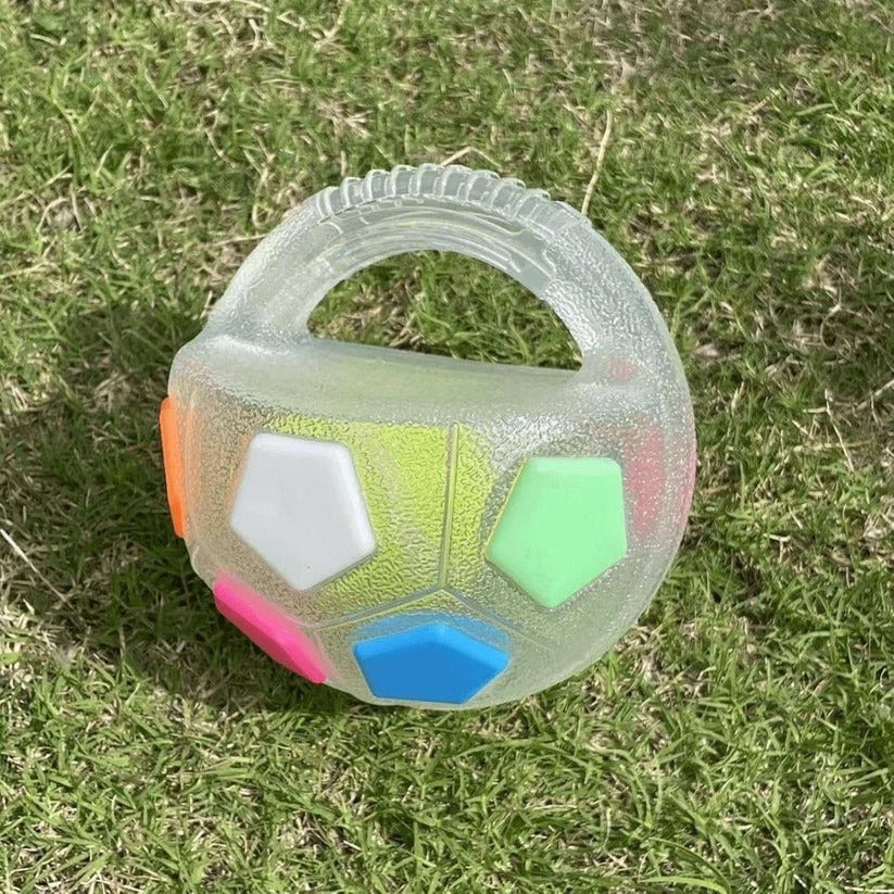 Robustes Hundespielzeug in Ballform mit Flaschen-Design für starke Kauer
