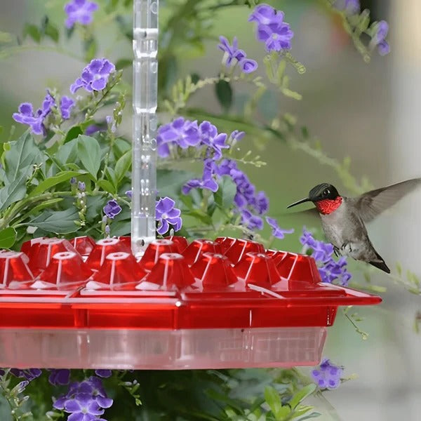 Hummingbird feeder with built-in ant moat