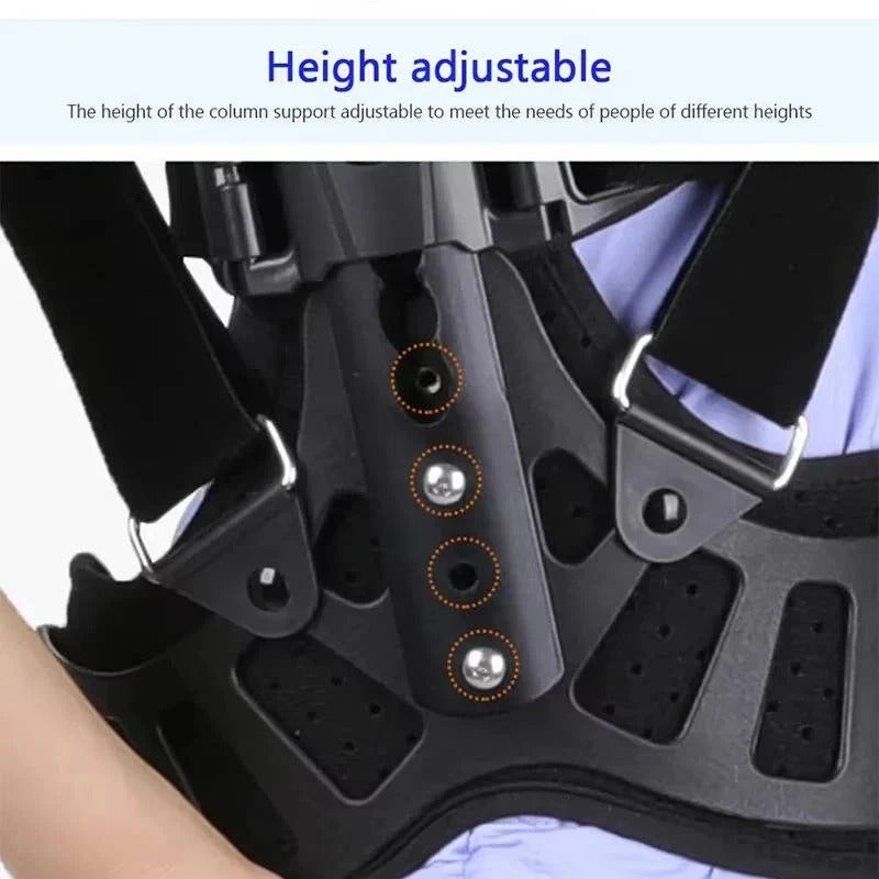 Adjustable back support with individual height adjustment and posture support