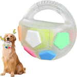 Robustes Gummiball-Hundespielzeug mit Flaschenform für starke Kauer