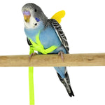 Sichere Vogelgeschirr und Leine für Papageien