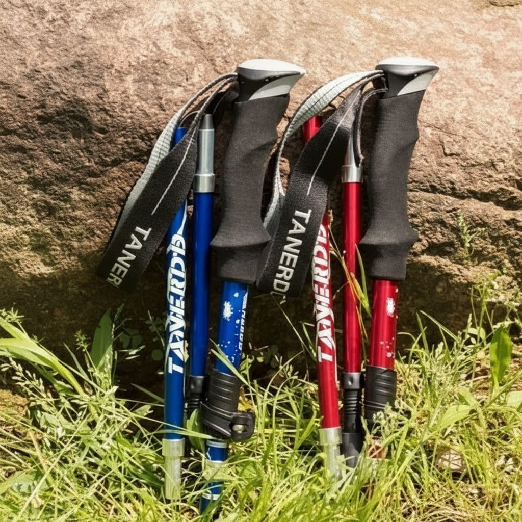 Adjustable trekking pole for any hike
