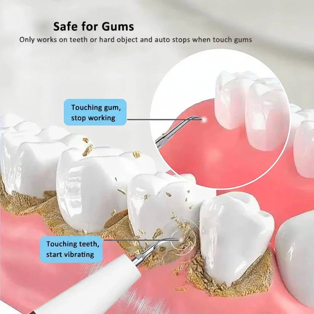 Rechargeable Teeth Cleaning Kit with LED Lighting