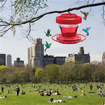 Hanging, bee-proof hummingbird water feeders with perch