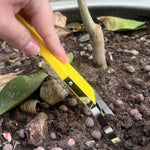Portable Weed Puller with Iron Loop Handle