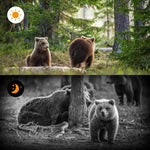 Wildkamera mit PIR-Bewegungssensor und Infrarot-Nachtsicht