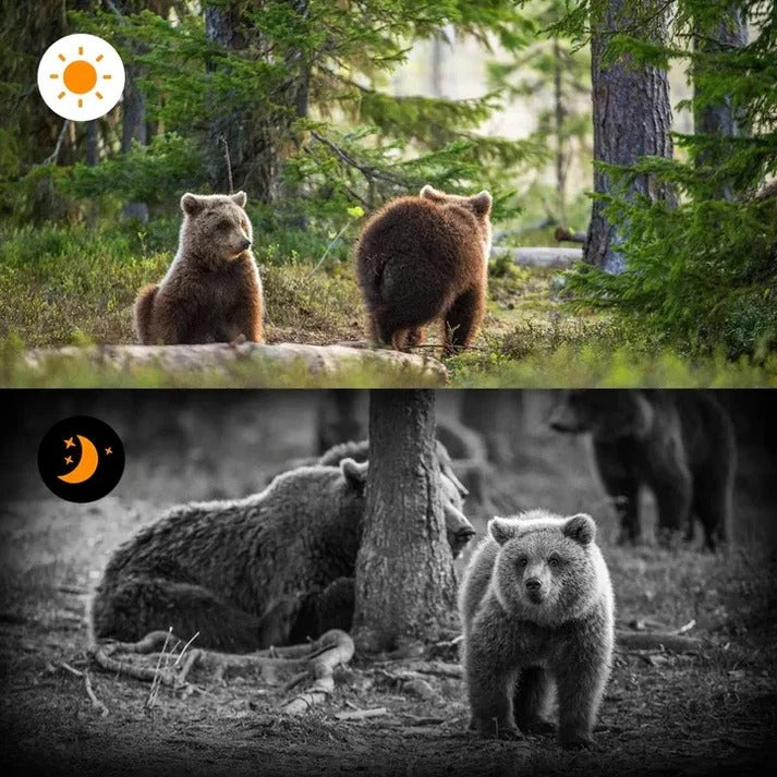 Wildkamera mit PIR-Bewegungssensor und Infrarot-Nachtsicht