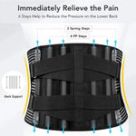 Adjustable back support belt with dual metal spring stabilizers