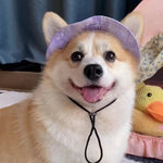 Pet Sun Protection with Adjustable Strap