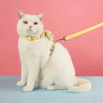 Verstellbares Katzen-Harnes mit sicherem Halsband