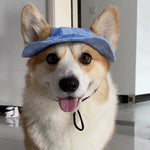 Pet Sun Protection with Adjustable Strap