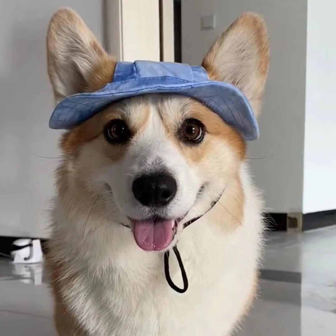 Pet Sun Protection with Adjustable Strap