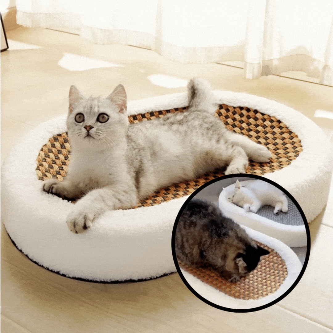 Cat bed with integrated scratching board for relaxed hours