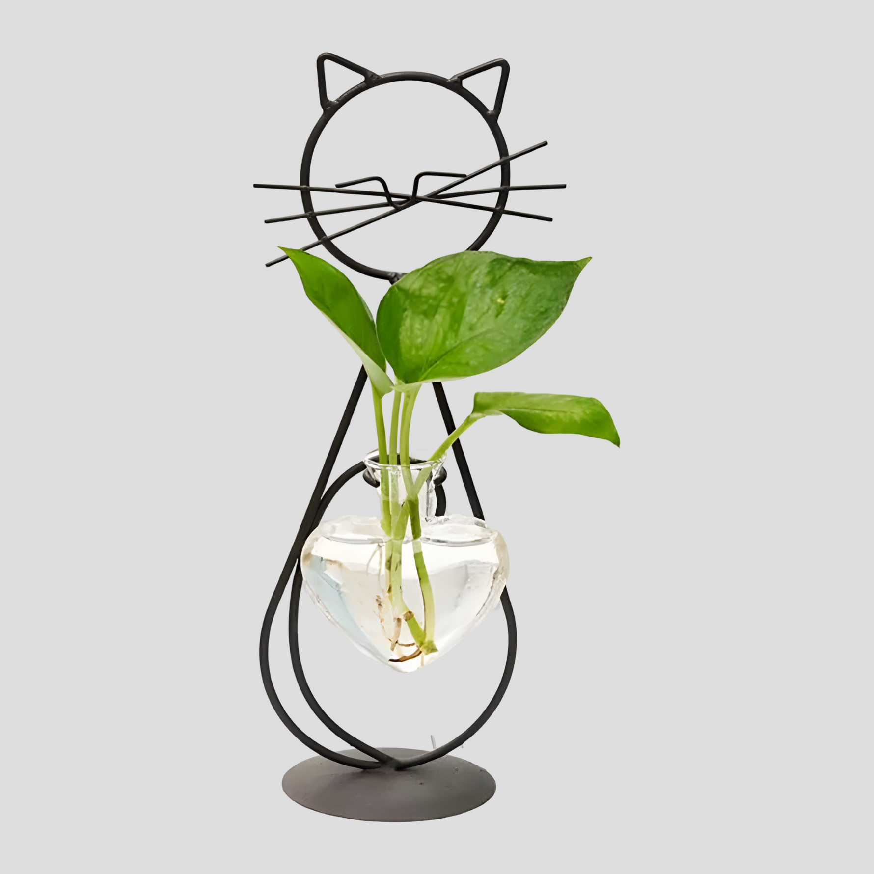 Elegante Herzvase mit Katzenhalter - Hydroponisches Glasdesign