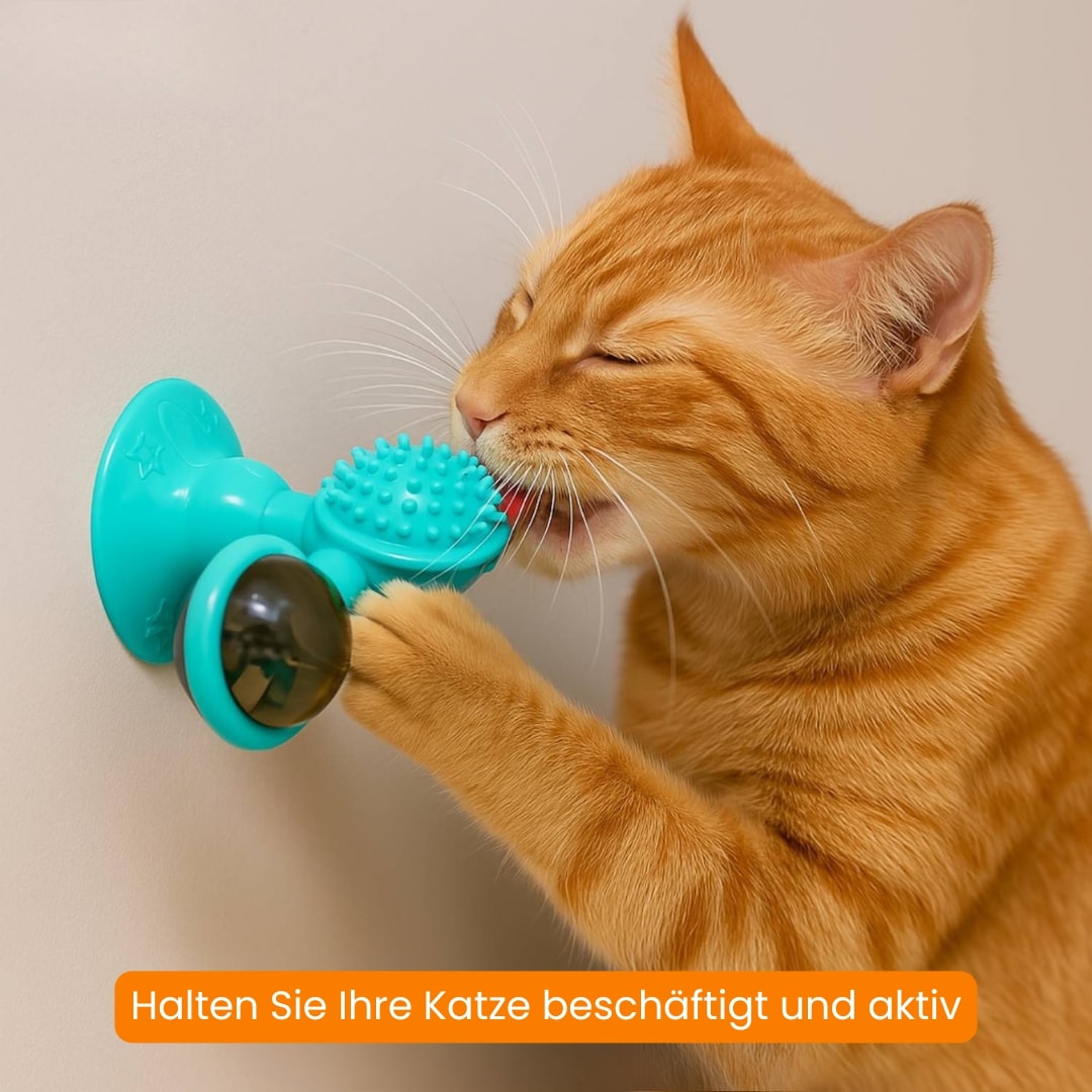 Interaktives Katzenspielzeug mit LED und Katzenminze