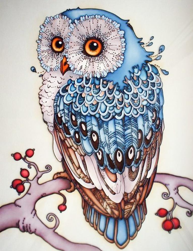 Owl Cartoon - Painting Set