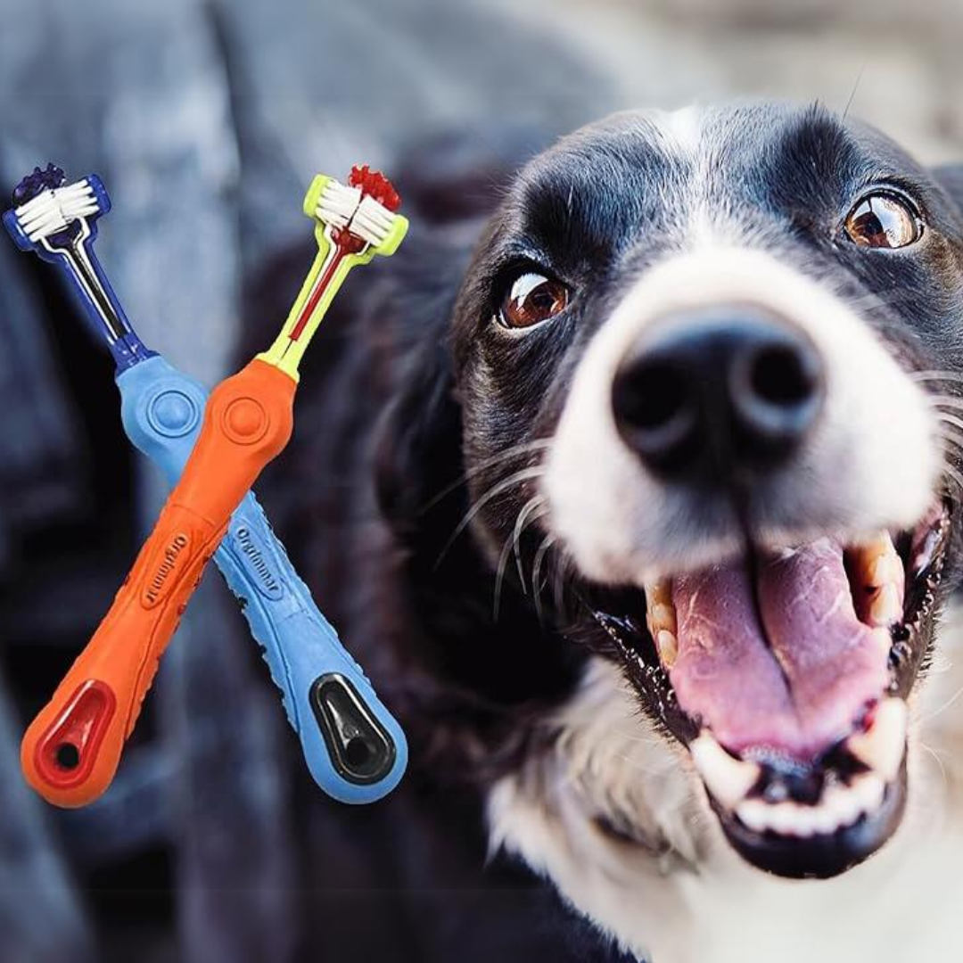 3-Sided Toothbrush for Pets – Tartar Removal & Breath Freshening (Set of 2)