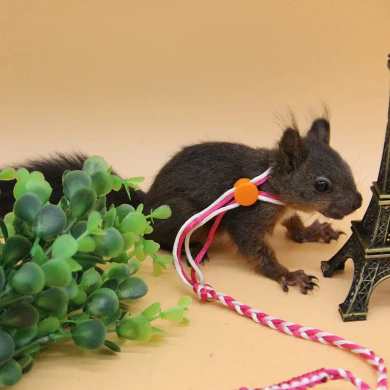 Adjustable Leash for Small Pets – 1.4 m & 2.0 m