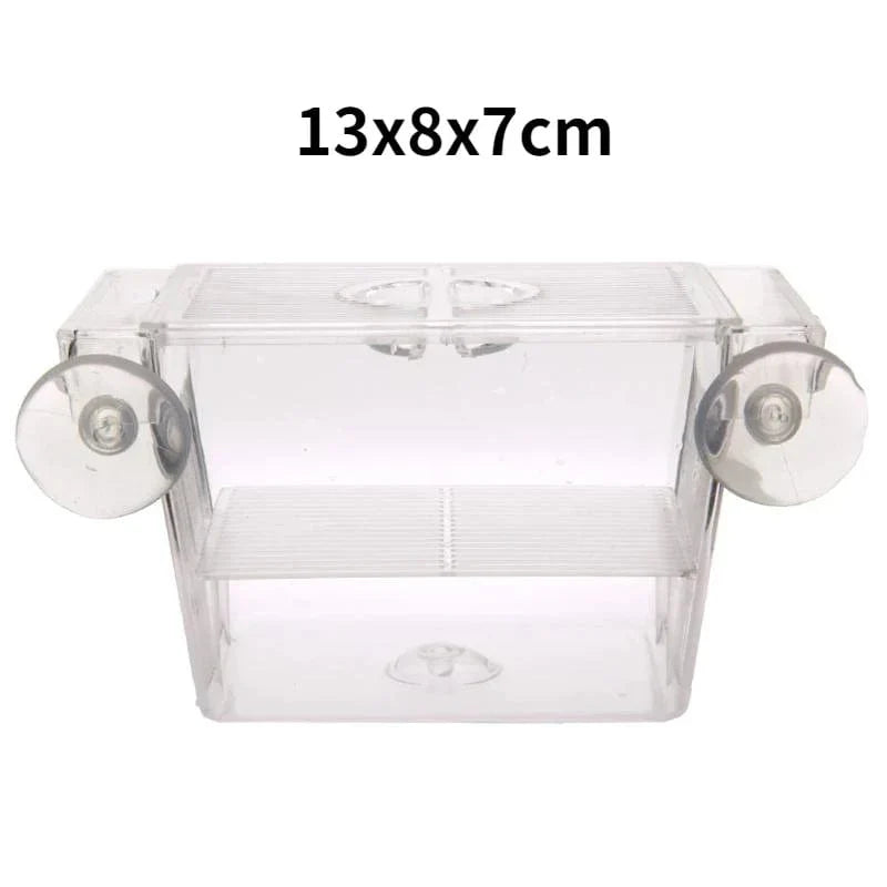 Multifunctional Aquarium Incubator with Transparent Design