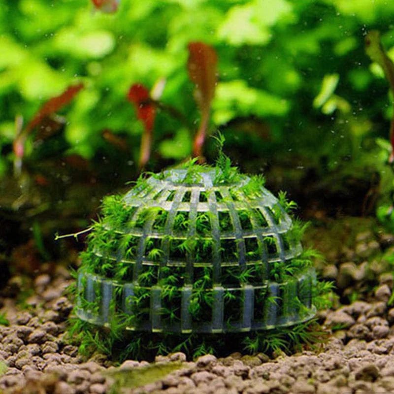 1 Piece Aquarium Plants Decoration - Moss Ball for Shrimp and Fish