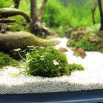 1 Stück Aquarienfilter Moosball für eine gesunde Wasserumgebung