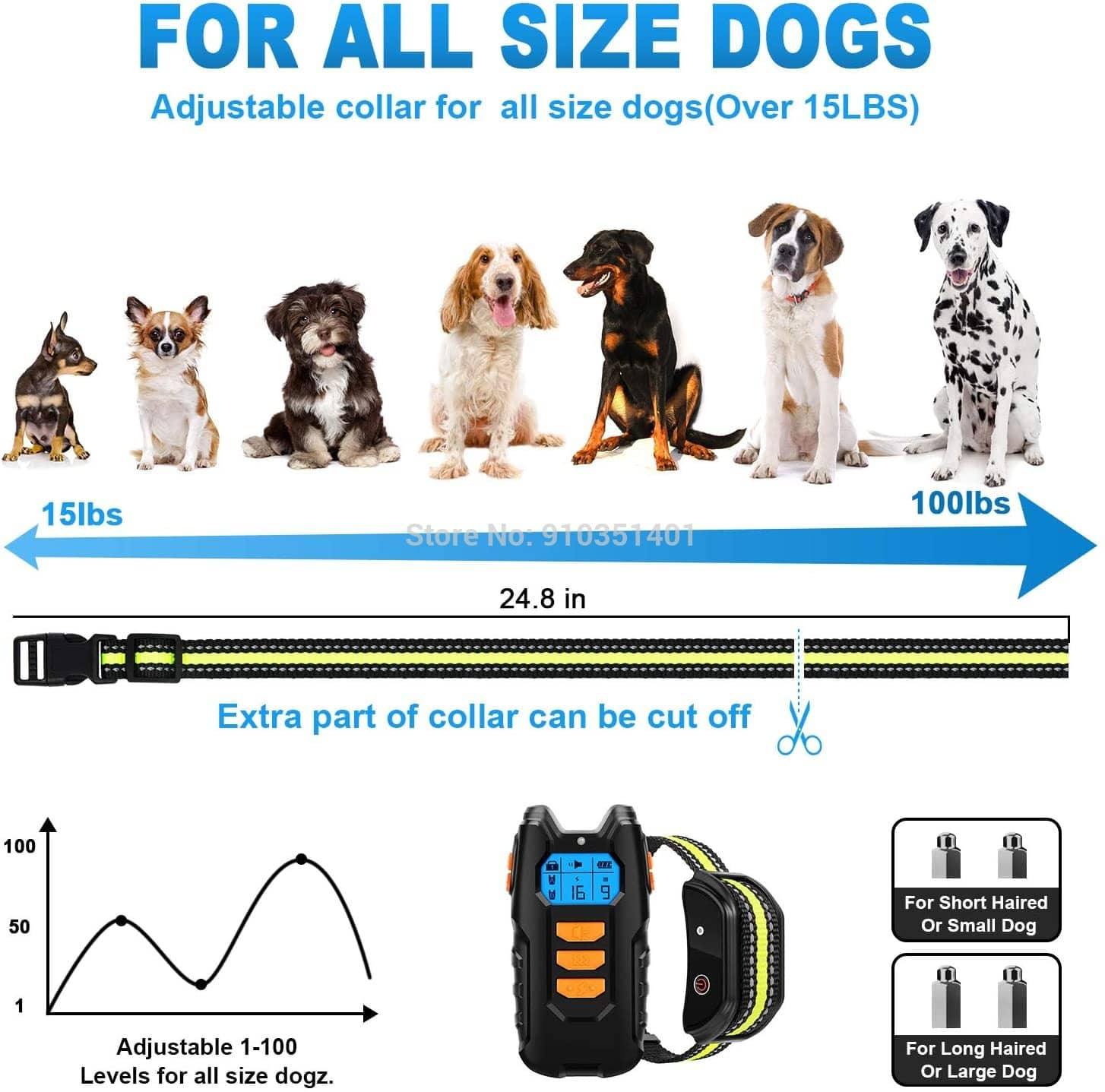 Smart Dog Training with the AquaTrainer E-Collar