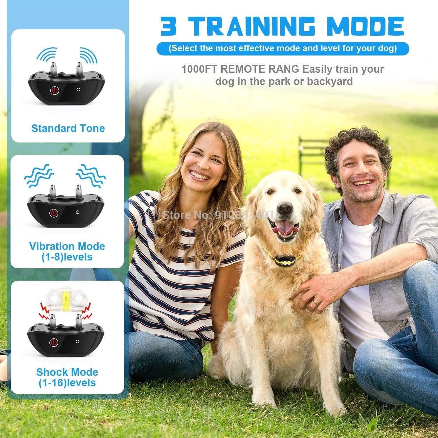 Smart Dog Training with the AquaTrainer E-Collar