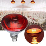 220V Infrared Heat Lamp for Reptiles, Plants, Amphibians, and Pets - 100/150/200/275W