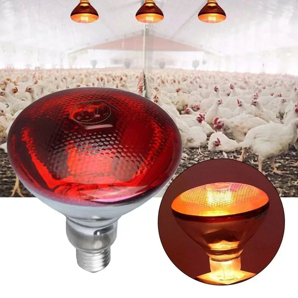 220V Infrared Heat Lamp for Reptiles, Plants, Amphibians, and Pets - 100/150/200/275W