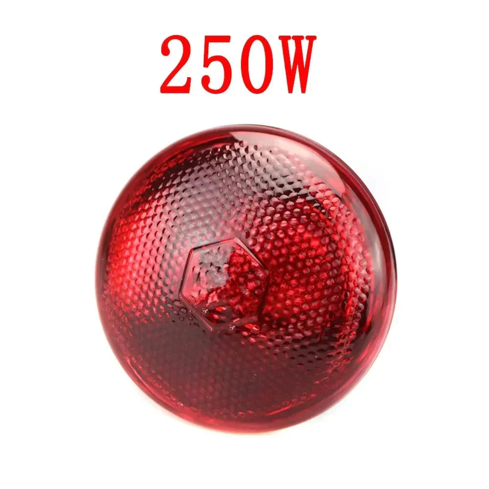 220V Infrared Heat Lamp for Reptiles, Plants, Amphibians, and Pets - 100/150/200/275W