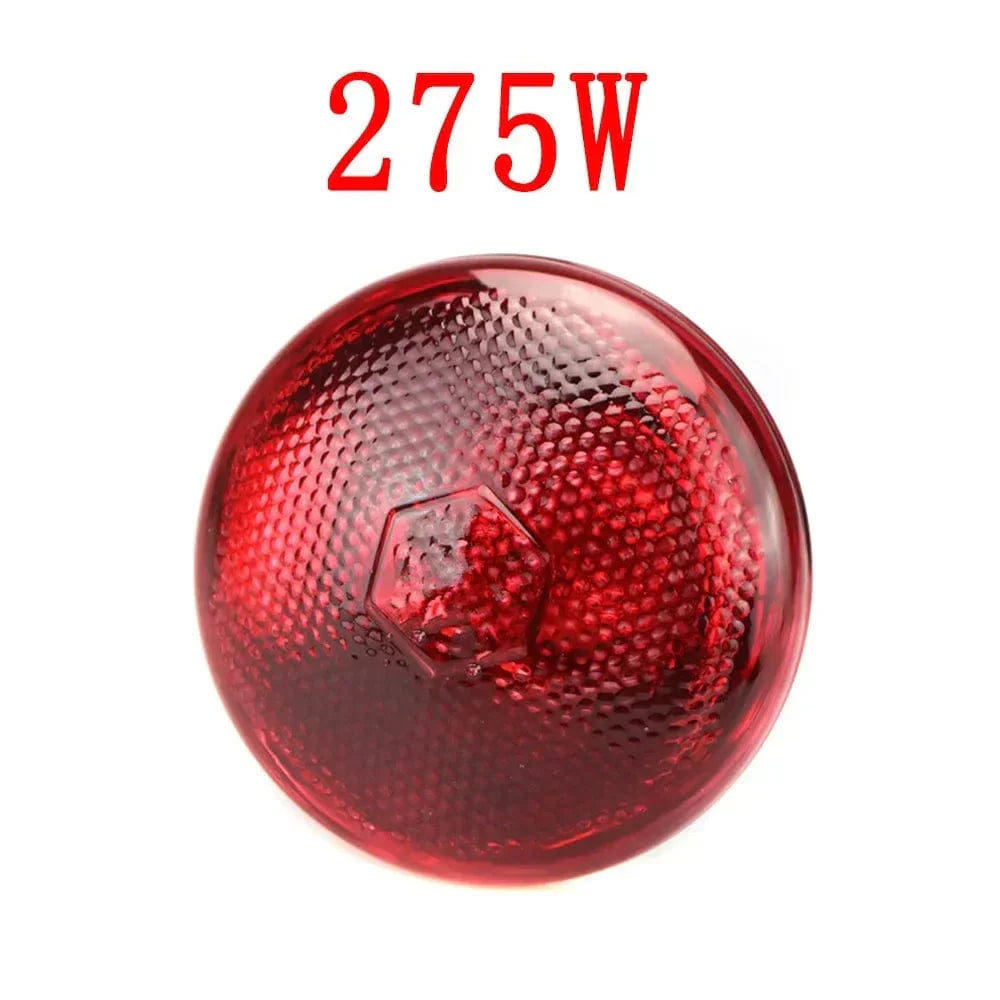220V Infrared Heat Lamp for Reptiles, Plants, Amphibians, and Pets - 100/150/200/275W