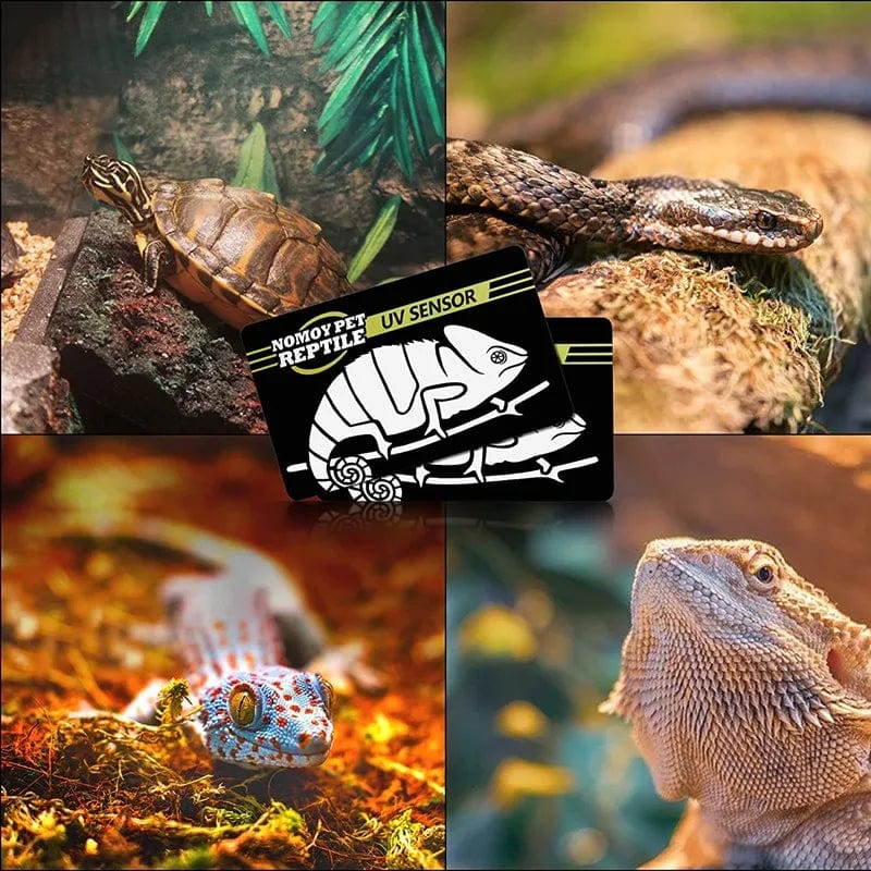 2-piece Fluorescent Color Change Test Cards for Reptile Lighting UVA UVB
