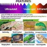 2-piece Fluorescent Color Change Test Cards for Reptile Lighting UVA UVB